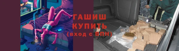стафф Новокубанск